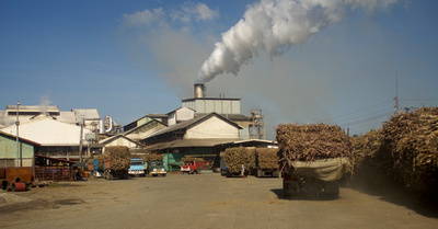 Victorias Sugar Mill